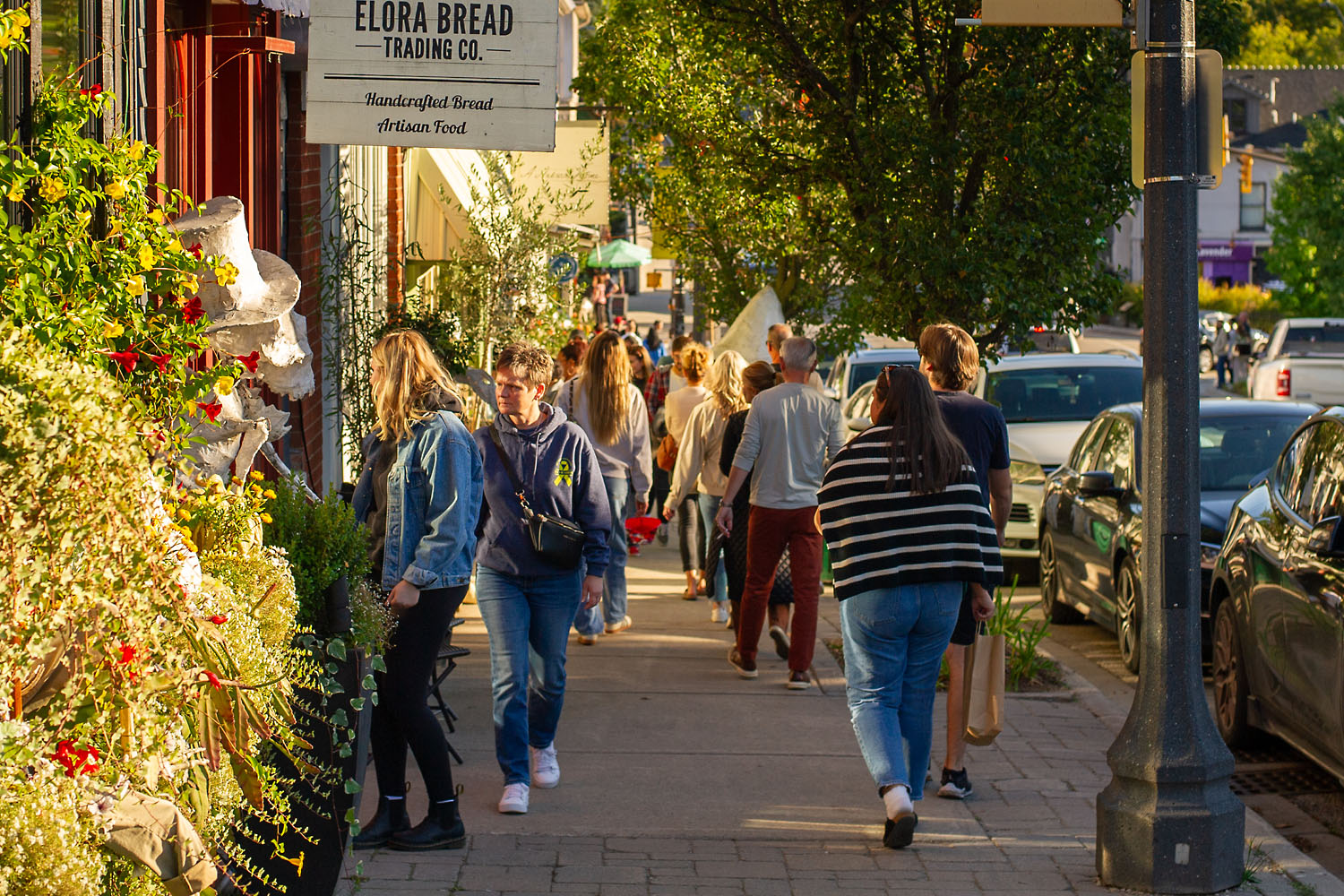 Summer Market